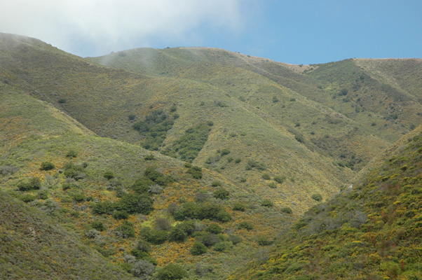 Soberanes Canyon 015.jpg